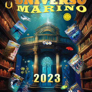 Collection 2023