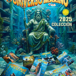 Collection 2025