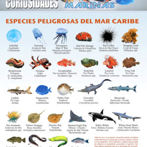 Poster Dangerous Species of the Caribbean