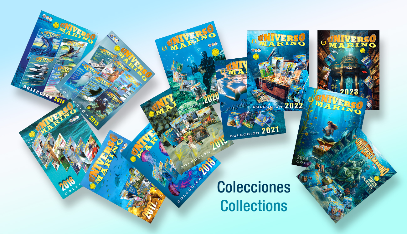 UM slide 1 (collections)